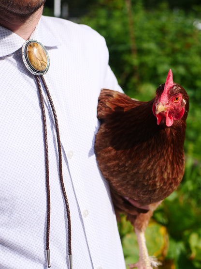 Picture Jasper Stone Bolo Tie